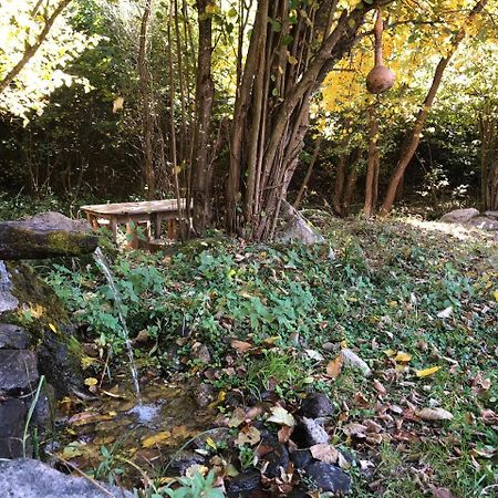 Vila Idila Crni Vrh エクステリア 写真