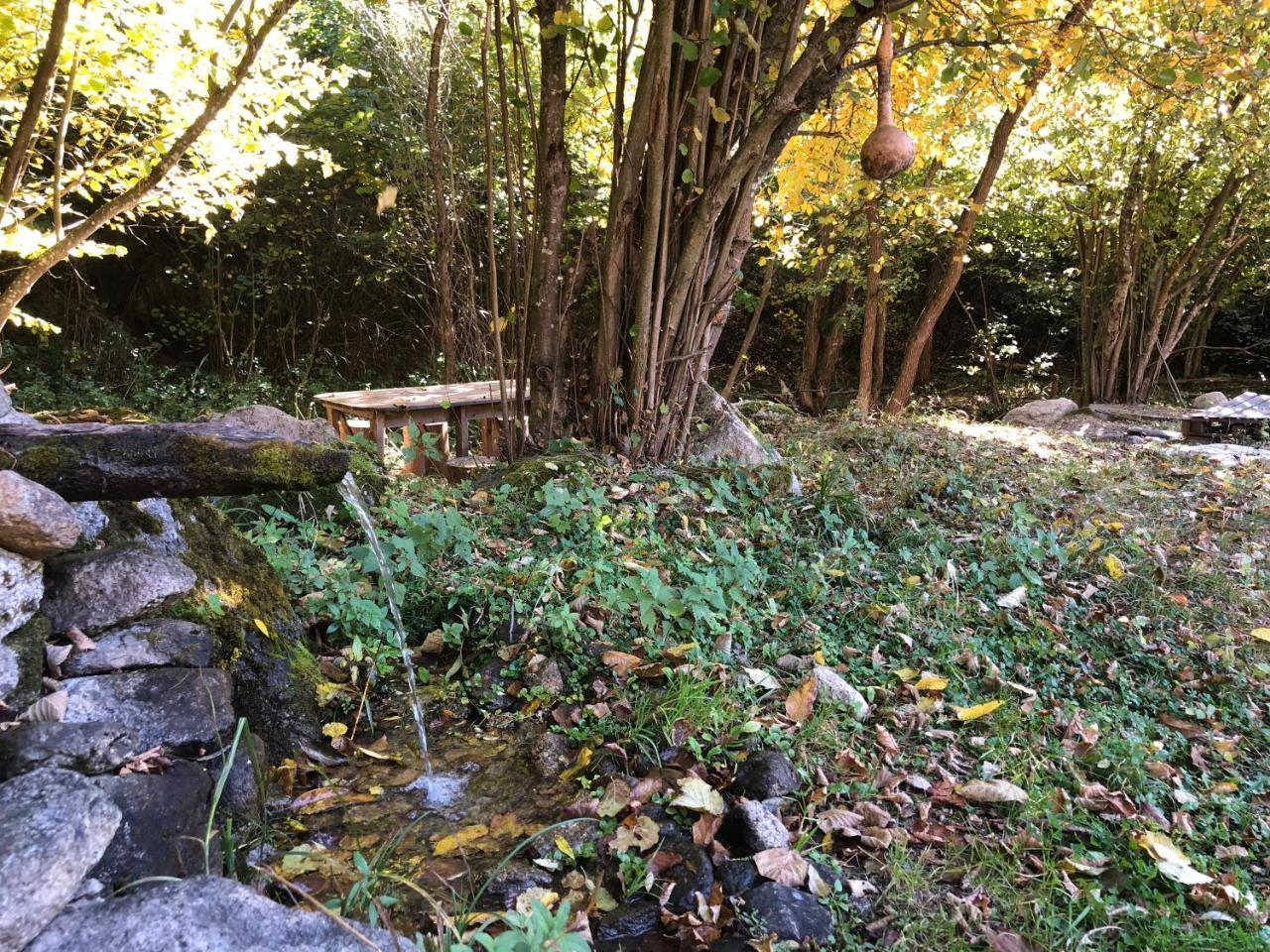 Vila Idila Crni Vrh エクステリア 写真