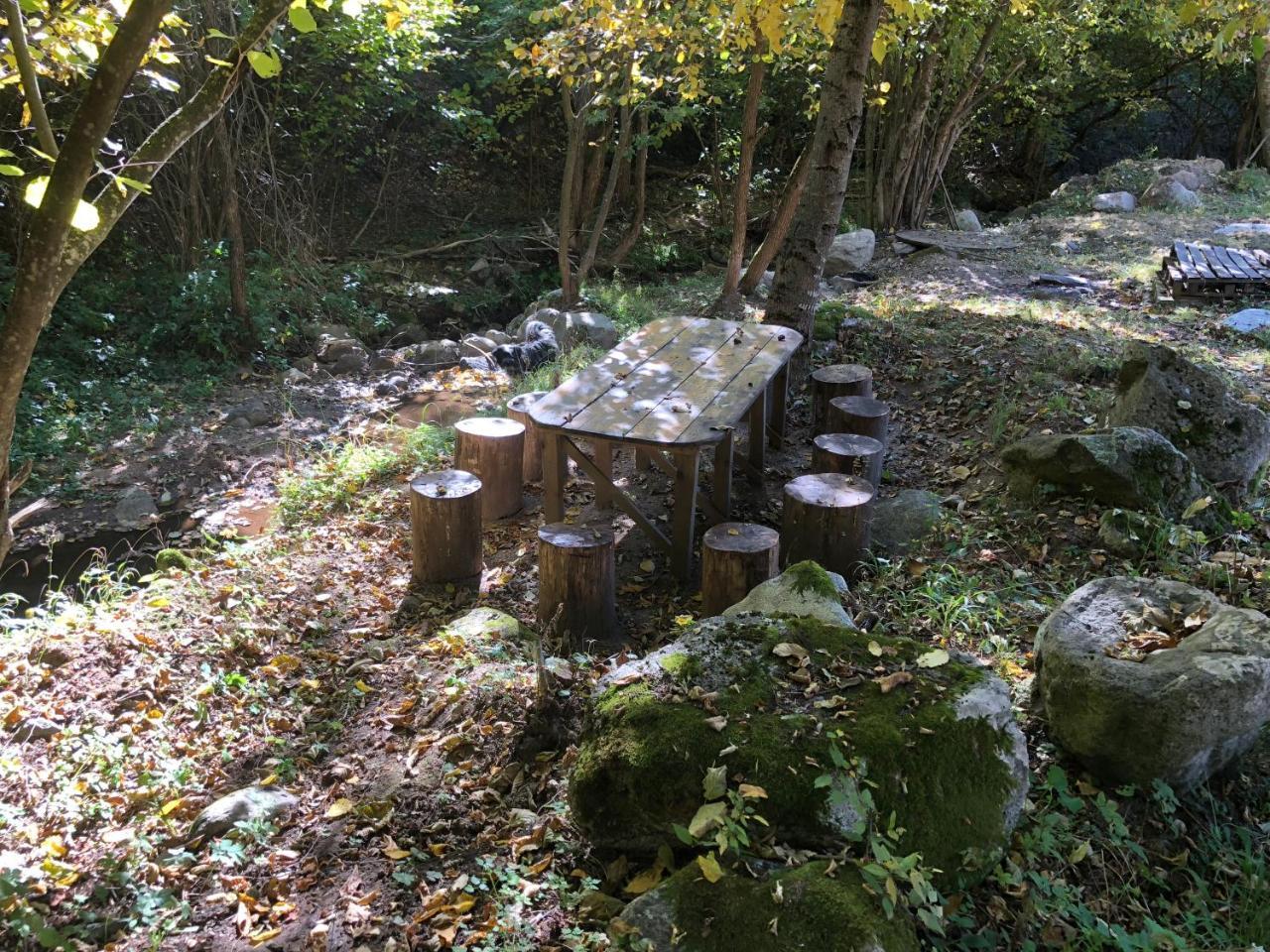 Vila Idila Crni Vrh エクステリア 写真